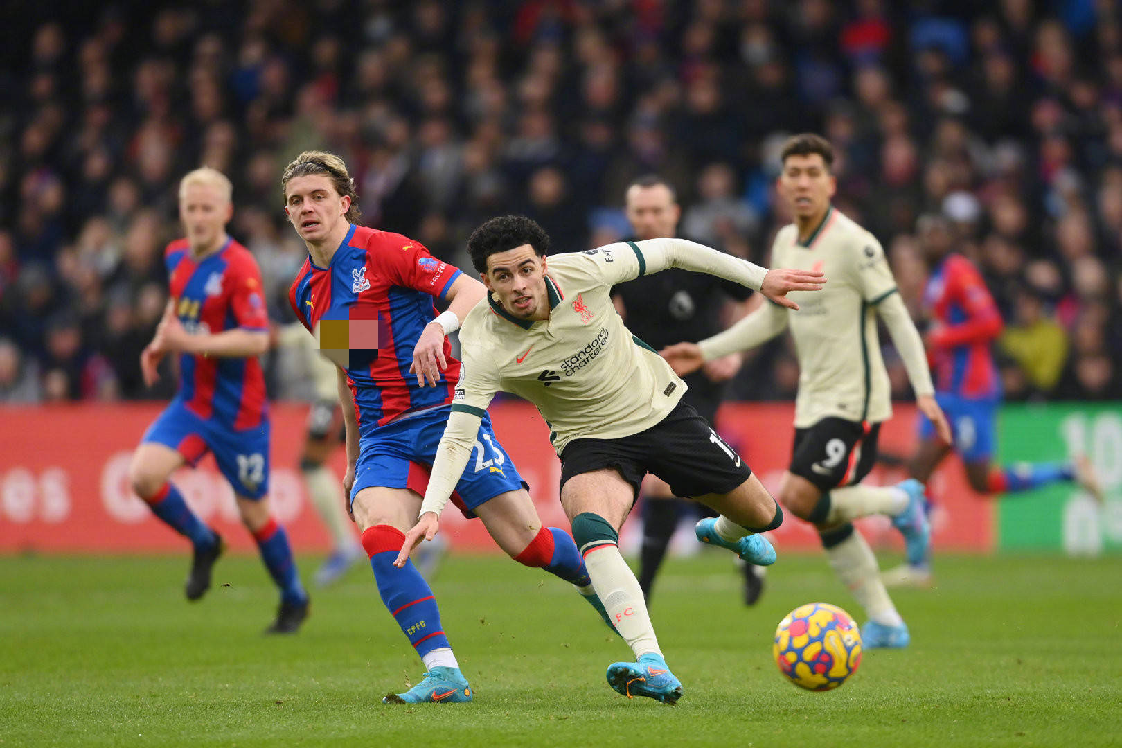 这支队伍完 这支队伍完