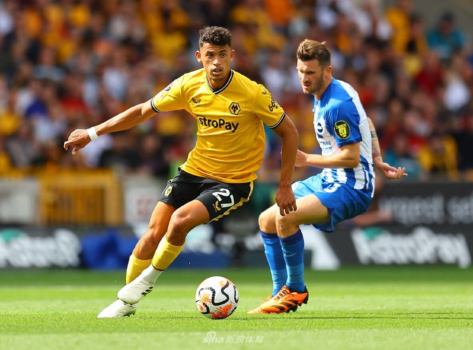 奥运带火的 奥运带火的